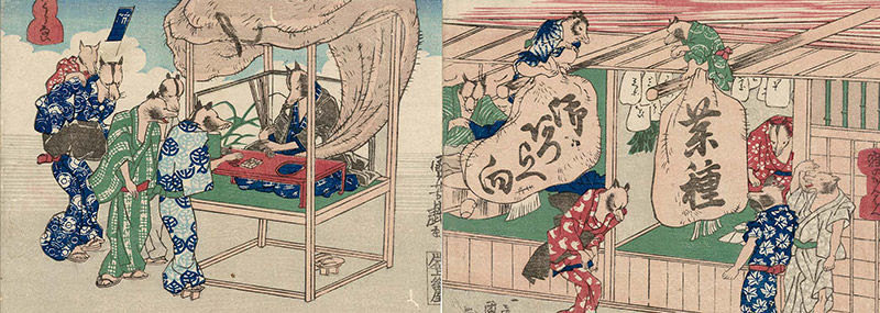 I tanuki, animali giapponesi scherzosi di cui non fidarsi
