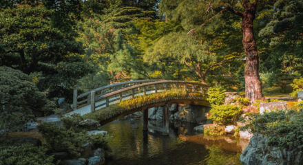 Giardino giapponese a Kyoto