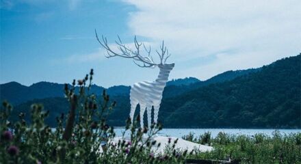 Reborn Arts Festival