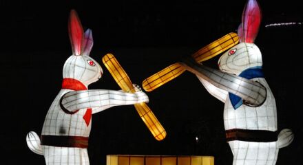 Conigli e riso sulla luna