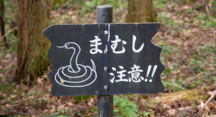 Superstizioni in Giappone