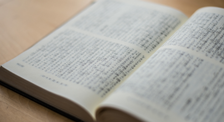 Libro scritto in giapponese