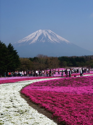 Monte Fuji visto dal parco di Hitsujiyama