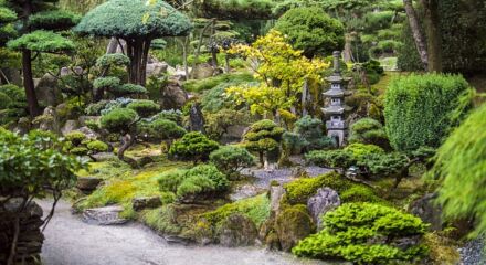 Karesansui: il giardino zen e la pace dei sensi