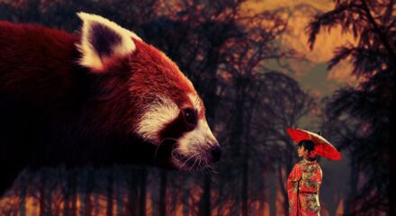 parte del folklore giapponese e, nel tempo, è stato rappresentato come una creatura astuta e malvagia, anche se a volte un po' ingenua e goffa