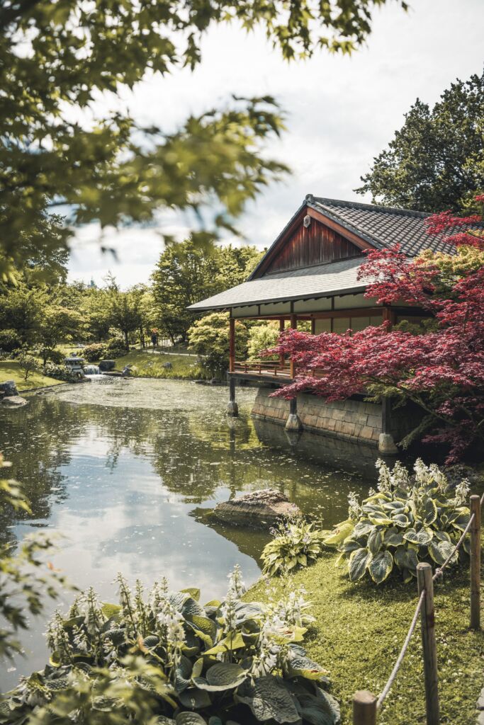 Una-casa-giapponese-immersa-nella-natura