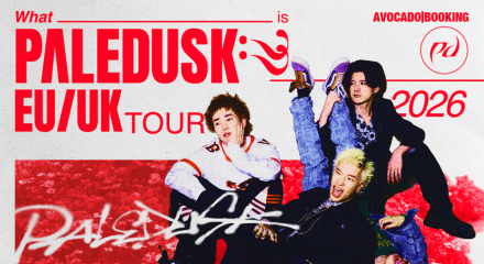 La band rock giapponese Paledusk